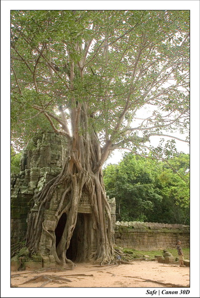 2006 - 07 - Temple angkor - Ta Som 26
